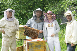 Пчелиная Матка – Эротические Сцены